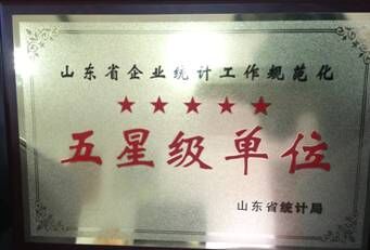 聯(lián)興集團(tuán)、開發(fā)公司再次雙獲山東省統(tǒng)計信用“五星級單位“